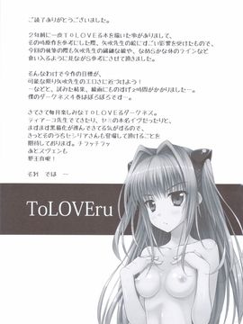 (C83) [DRAGON PANDA (御奈瀬)] ヤミとティア (ToLOVEる)_24