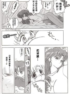 第四本[BLACK DOG(黒犬獣)] HEAVEN'S DOOR (セーラームーン) [網上打飛機個人漢化]_lovedeluxe4_12