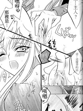 [CREAYUS (嵐月)] (COMIC1☆3) Black Noise (コードギアス 反逆のルルーシュ) [中]_20