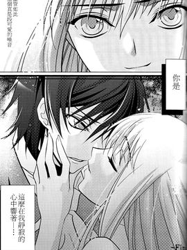 [CREAYUS (嵐月)] (COMIC1☆3) Black Noise (コードギアス 反逆のルルーシュ) [中]_26