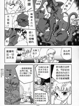 第9本(C52)(同人誌)[BLACK DOG(黒犬獣)] SUBMISSION SAILORMOON (セーラームーン) [喵星星汉化]_moon_29