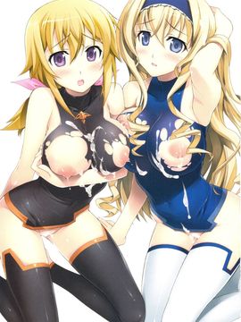 [Yan-Yam (Yan-Yam)] (C81) 淫フィニット マスカレード (インフィニット・ストラトス)_03