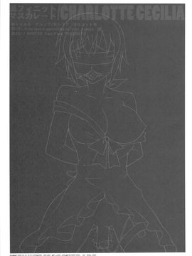 [Yan-Yam (Yan-Yam)] (C81) 淫フィニット マスカレード (インフィニット・ストラトス)_11