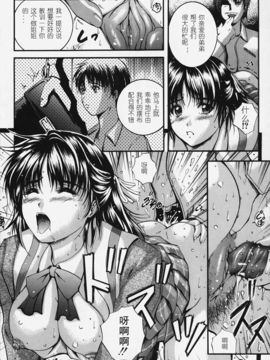 [KYOTA IZUMI] 純色_141
