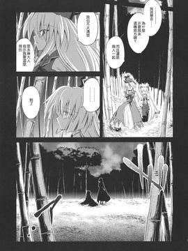 (C79)[あさつき堂]Last·Elixi(東方Project)[喵玉汉化]_020