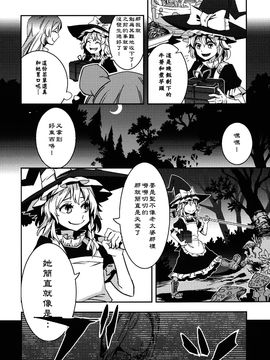 (例大祭9)[薬味さらい]When You Wish Upon A STAR(東方Project)[喵玉汉化]_When You Wish Upon A STAR_016
