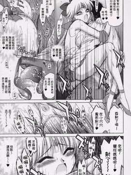 24(C69)(同人誌)[BLACK DOG(黒犬獣)] SUPER FLY  (セーラームーン) [lzmcsa個人漢化]_018