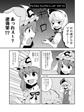 [マキシマムディアッカ (麒麟たろう)] どう考えてもウチの庭師の忠誠心は低過ぎる (東方Project) [DL版]_12