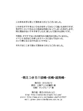 (C84) [ぜのさいど (是乃)] 萌えつきろ!!欲情・劣情・超発情 (東方Project)__010