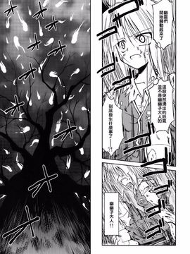 (例大祭6)[あさつき堂]転迷開悟(東方Project)[喵玉汉化]_10