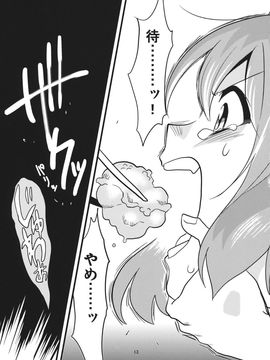 (C87) [デッドラインブレイカー (ミヤジ)] ワカドリトカラアゲ (東方Project)_JhgJAQ_013