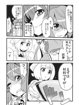 (C87) [デッドラインブレイカー (ミヤジ)] ワカドリトカラアゲ (東方Project)_JhgJAQ_023