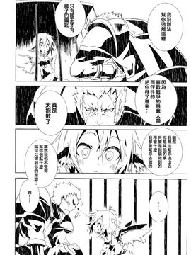 (例大祭SP2) [水銀革命] 超負荷戀歌(東方Project)[喵玉汉化]_009