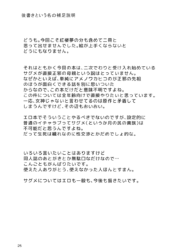 (C89) [てつのおとしご (チロリアン)] 鷺の声響く (東方Project)__025