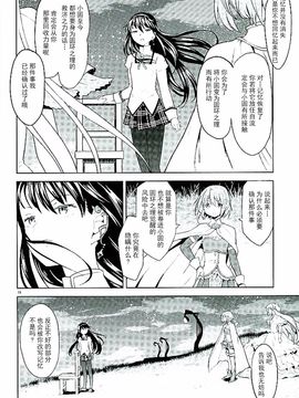 (C89) [ネダオレ (あやね)] ほんの一世紀だけわたしの銀の庭 (魔法少女まどか☆マギカ)_012