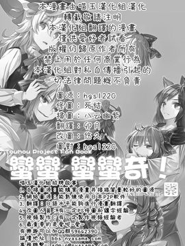 (C87)[薬味さらい]蠻蠻 蠻蠻奇！(東方Project)[喵玉汉化]_47