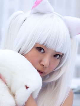 魔法少女ねここ☆マギカ_348
