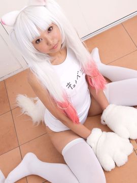 魔法少女ねここ☆マギカ_350