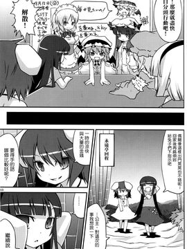 (C78) [乃屋 (ノヤマコト)] 東方塩不足 (東方Project)[空空+天子漢化]_11