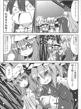 (C79) [乃屋(ノヤマコト)] クリスマス・クライシス (東方Project)_029