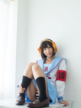 Forget-me-not_012