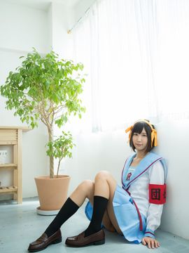 Forget-me-not_026