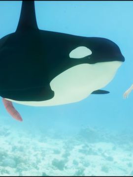 vaesark CGS#018 - Under the sea_CGS_18 - 26