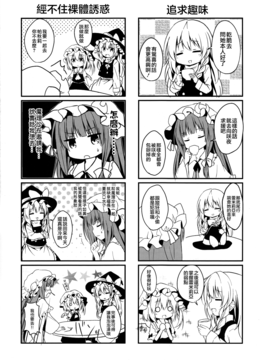 (C89) [Primitivo (くれ～ぷ)] 秘密のクリスマスプレゼント (東方Project)[迷途竹林漢化]_009