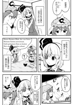 [マキシマムディアッカ (麒麟たろう)] 中二病は通過儀礼 (東方Project)_42848886_p05