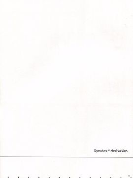 (C81) [Royal Moon (よろず)] SynchroMeditation (ポケットモンスター)_023