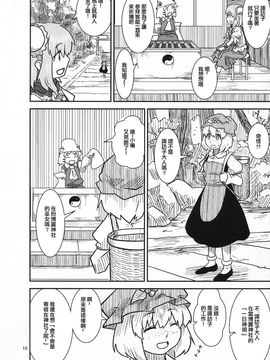 (紅楼夢9) [流水亭 (サカナ)] すわこと！紅楼夢9号 (東方Project, よつばと!) [鹹狼個人漢化]_15