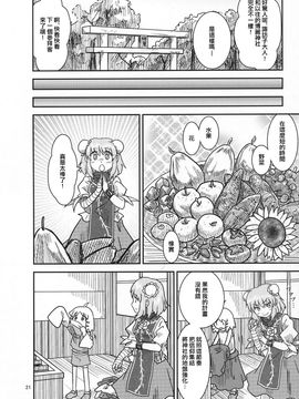 (紅楼夢9) [流水亭 (サカナ)] すわこと！紅楼夢9号 (東方Project, よつばと!) [鹹狼個人漢化]_21