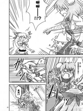 (紅楼夢9) [流水亭 (サカナ)] すわこと！紅楼夢9号 (東方Project, よつばと!) [鹹狼個人漢化]_25