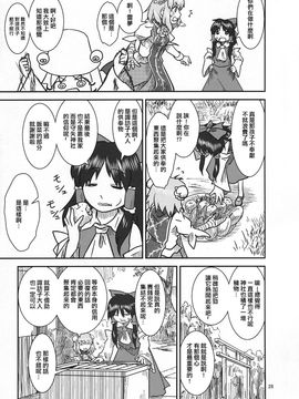 (紅楼夢9) [流水亭 (サカナ)] すわこと！紅楼夢9号 (東方Project, よつばと!) [鹹狼個人漢化]_28