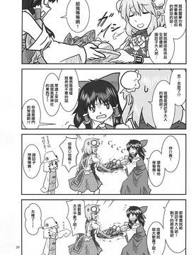 (紅楼夢9) [流水亭 (サカナ)] すわこと！紅楼夢9号 (東方Project, よつばと!) [鹹狼個人漢化]_29