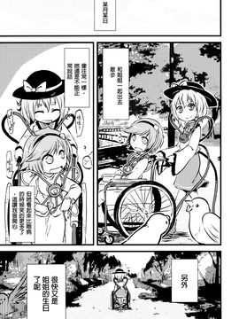 (秋季例大祭2) [02 (原崎)] Happy BirthDay My Sister (東方Project)[沒有漢化]_012