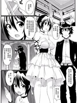 (C89) [カミナリネコ (えーたろー)] ヤミコイ-サイミン-3 (ニセコイ)_017