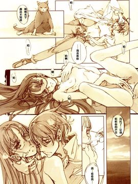 (C67) [70 年式悠久機関 (遠藤沖人)] 黒髪のサラサーテ_027