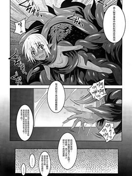 (C89) [夜の勉強会 (ふみひろ)] DARK ELF BREAKING_023
