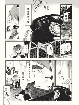 (紅楼夢6) [Carcharias! (cis_N)] タイガーインストール (東方Project)_022