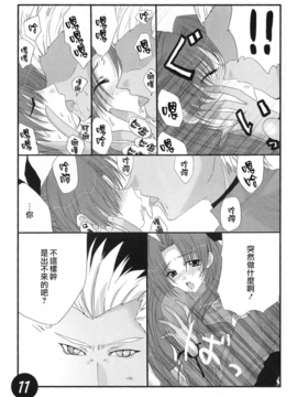 (サンクリ25) [CS205 (キネヤエムコ)] CATHARSIS (Fate_stay night)_009