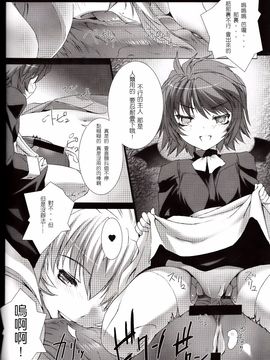 [MISS BLACK OFFLINE (MISS BLACK)] デアリーベンヴァレスティ (武装神姫)_025