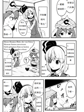 [マキシマムディアッカ (麒麟たろう)] 中二病は通過儀礼 (東方Project)[诱骗者迪卡伊个人汉化]_ChuTsuu_06