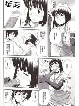 [G-SCAN CORP. (佐藤茶菓子)] Le beau maître 8 (ゼロの使い魔)_013