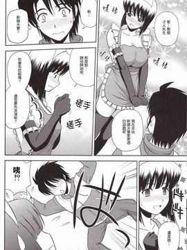 (C79) [G-SCAN CORP. (佐藤茶菓子)] Le beau maître 8 (ゼロの使い魔)_009