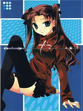 (C66) [てきとう怪獣、氷上王国 (碧泉りお、水月悠)] seducer (Fate_stay night)