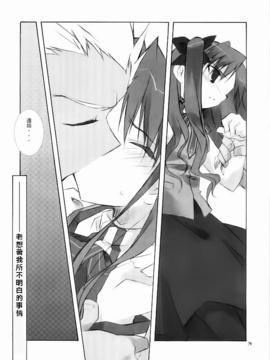 (C66) [てきとう怪獣、氷上王国 (碧泉りお、水月悠)] seducer (Fate_stay night)_026