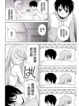 (C71) [G-SCAN CORP. (佐藤茶菓子)] Le beau maître (ゼロの使い魔)_008