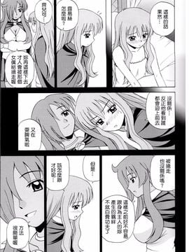 (C71) [G-SCAN CORP. (佐藤茶菓子)] Le beau maître (ゼロの使い魔)_009