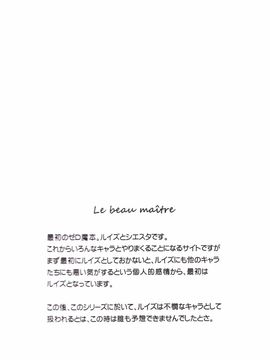 (C71) [G-SCAN CORP. (佐藤茶菓子)] Le beau maître (ゼロの使い魔)_025